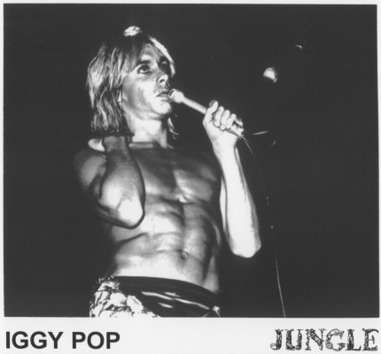 Iggy Pop фото №68059