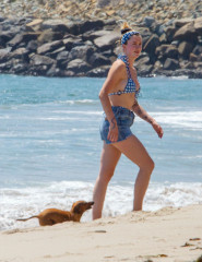 IRELAND BALDWIN in Bikini on the Beach in Malibu 06/27/2020 фото №1261830