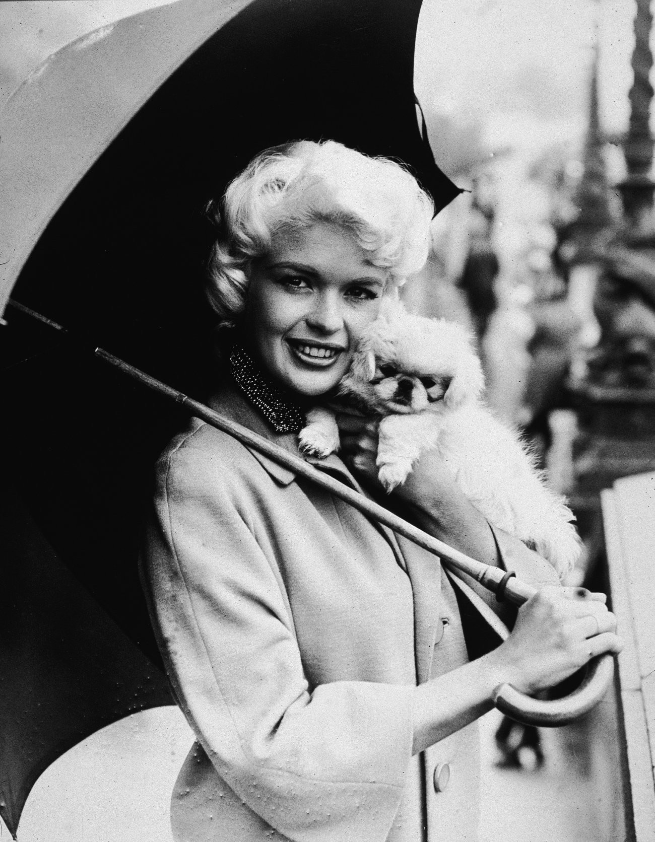 Джейн Мэнсфилд (Jayne Mansfield)