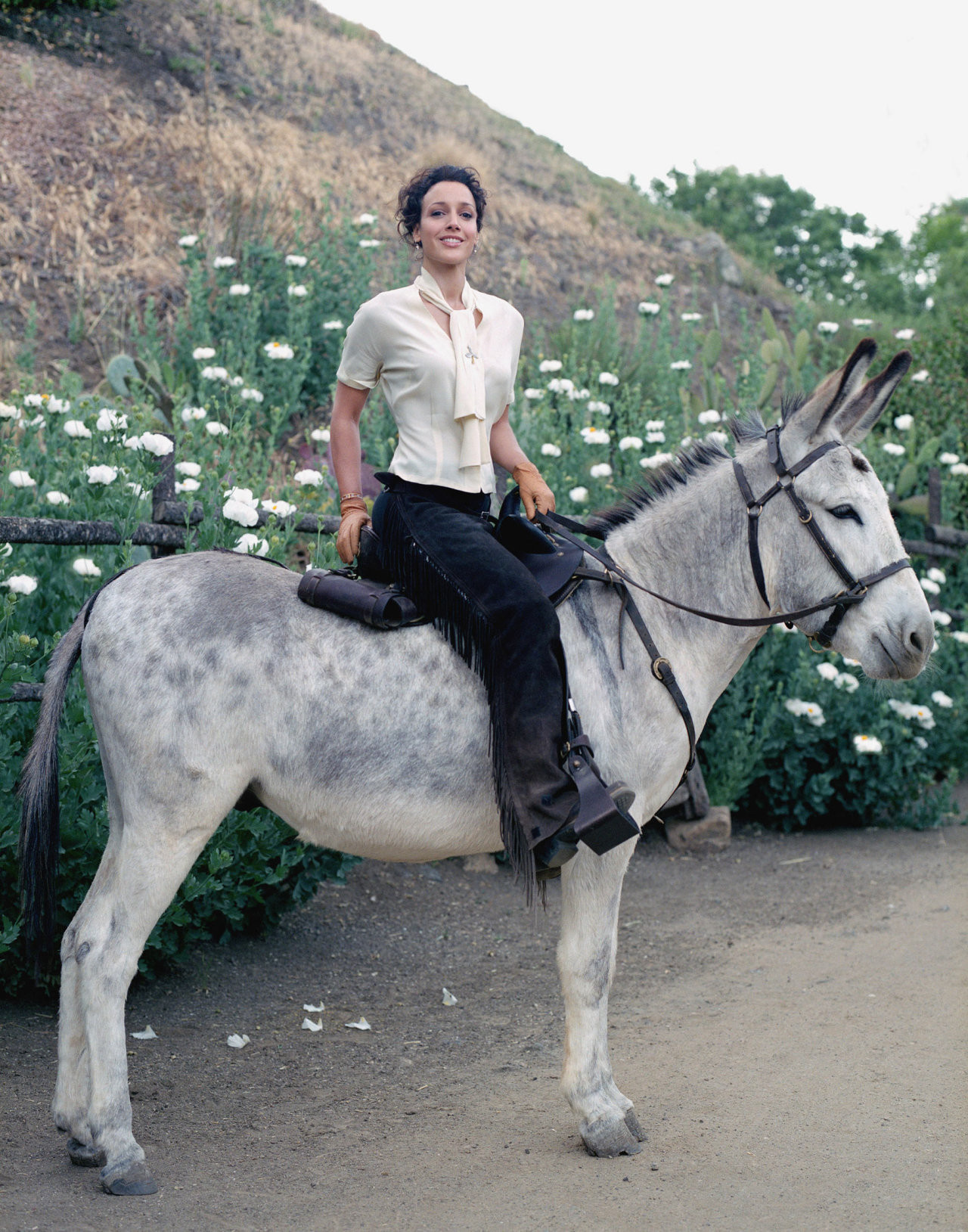 Дженнифер Билс (Jennifer Beals)