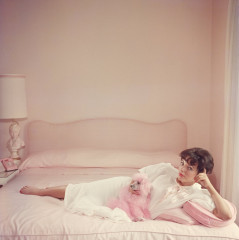 Joan Collins фото №254001