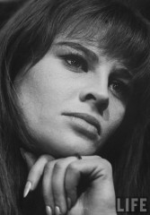 Julie Christie  фото №376314