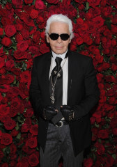 Karl Lagerfeld фото №538361