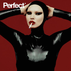 Kate Moss for Perfect #0 by Rafael Pavarotti фото №1379943