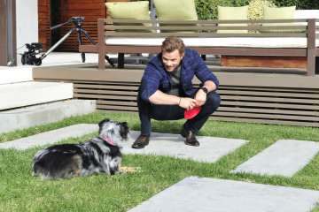 Kellan Lutz-AKC National Championship Photoshoot  фото №1127083