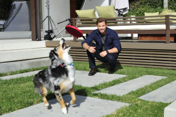 Kellan Lutz-AKC National Championship Photoshoot  фото №1127084