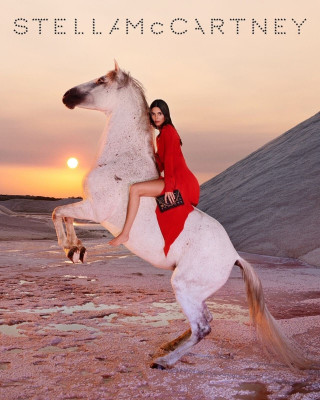 Kendall Jenner ~ Stella Mc Cartney FW2023 campaign фото №1375954