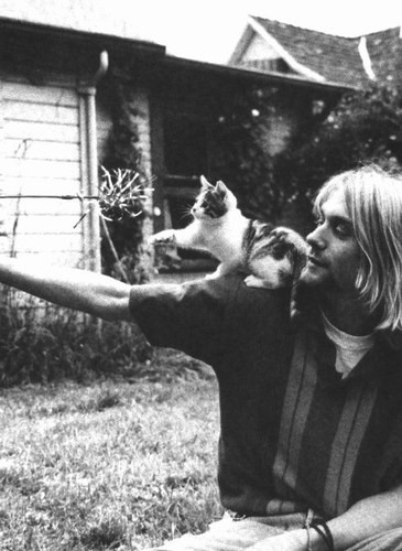 Курт Кобэйн (Kurt Cobain)