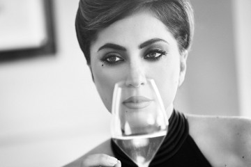 Lady Gaga-Dom Pérignon фото №1313333