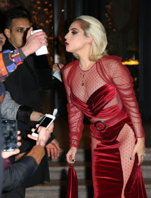 Lady Gaga фото №1032153