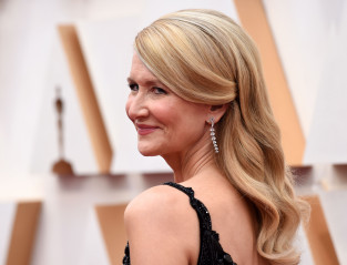 Laura Dern - 92nd Annual Academy Awards in Los Angeles (Arrival) / 09.02.2020 фото №1270757