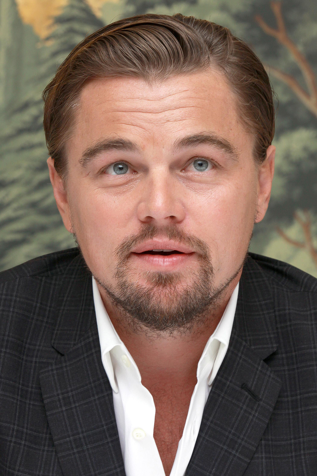 Леонардо ДиКаприо (Leonardo DiCaprio)