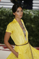 Lily Aldridge – MET Gala 2018 фото №1069104