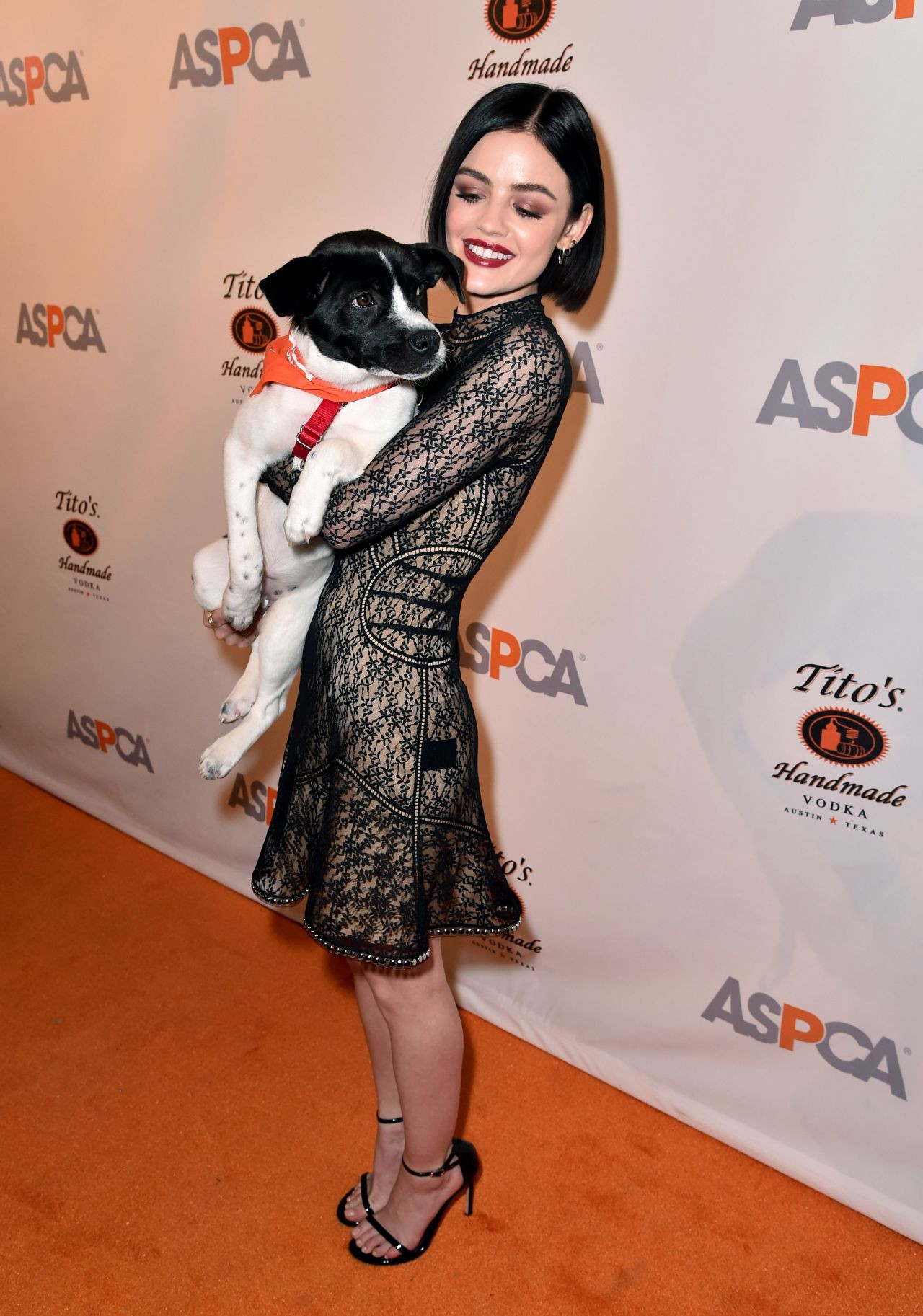 Люси Хейл - Lucy Hale фото №957868 - Lucy Hale – The ASPCA Bergh Ball