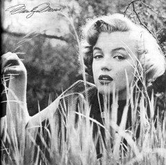 Marilyn Monroe фото №511816