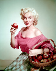 Marilyn Monroe фото №1206851