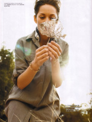 Marion Cotillard фото №378926