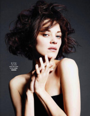 Marion Cotillard фото №654252