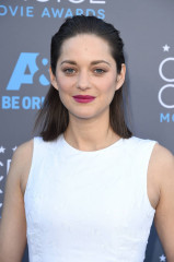 Marion Cotillard фото №786791