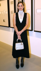 Marion Cotillard фото №775715