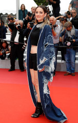 Marion Cotillard фото №1177461