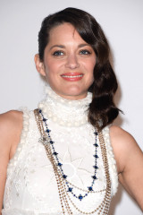 Marion Cotillard фото №735352