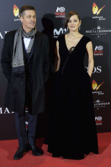 Marion Cotillard – ‘Allied’ Premiere in Madrid фото №925215