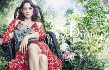 Marion Cotillard фото №919649