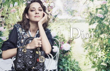 Marion Cotillard фото №919652