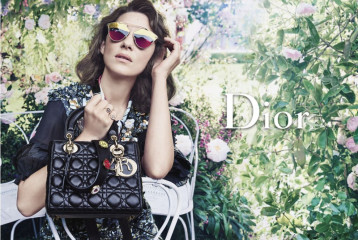 Marion Cotillard фото №919651