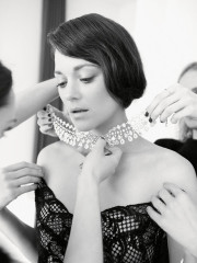 Marion Cotillard фото №773664