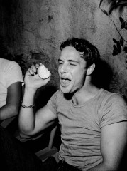 Marlon Brando фото №241829