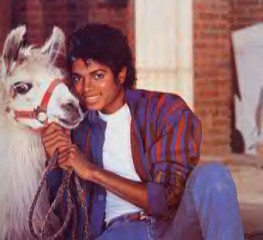 Michael Jackson фото №11073