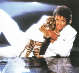 Michael Jackson фото №843540