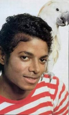 Michael Jackson фото №173010