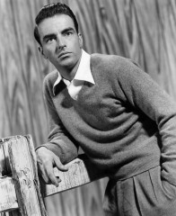 Montgomery Clift фото №250011