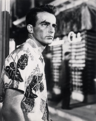 Montgomery Clift фото №382458