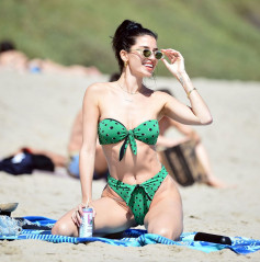 NICOLE WILLIAMS in Bikini at a Beach in Malibu 06/15/2020 фото №1260774