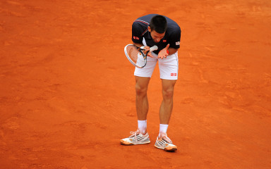 Novak Djokovic фото №519912