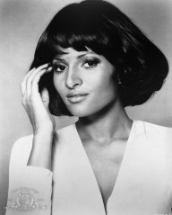 Pam Grier фото №360036