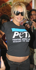 Pamela Anderson фото №224096