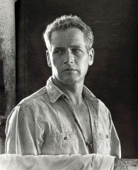 Paul Newman фото №379689
