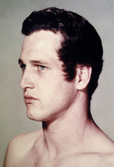Paul Newman фото №79734