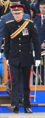 Prince Harry of Wales фото №773420