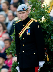 Prince Harry of Wales фото №575620