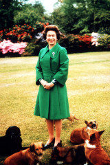 Queen Elizabeth ll  фото №598713
