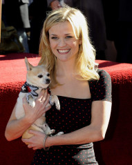 Reese Witherspoon фото №321346