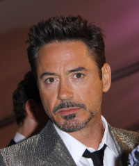 Robert Downey Jr. фото №513578