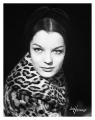 Romy Schneider фото №109374