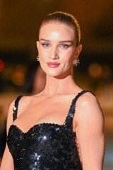Rosie Huntington-Whiteley – at Le Grand Dinner Du Louvre Paris, March 2025 фото №1413465